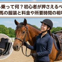 画像2448