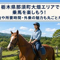 画像2500