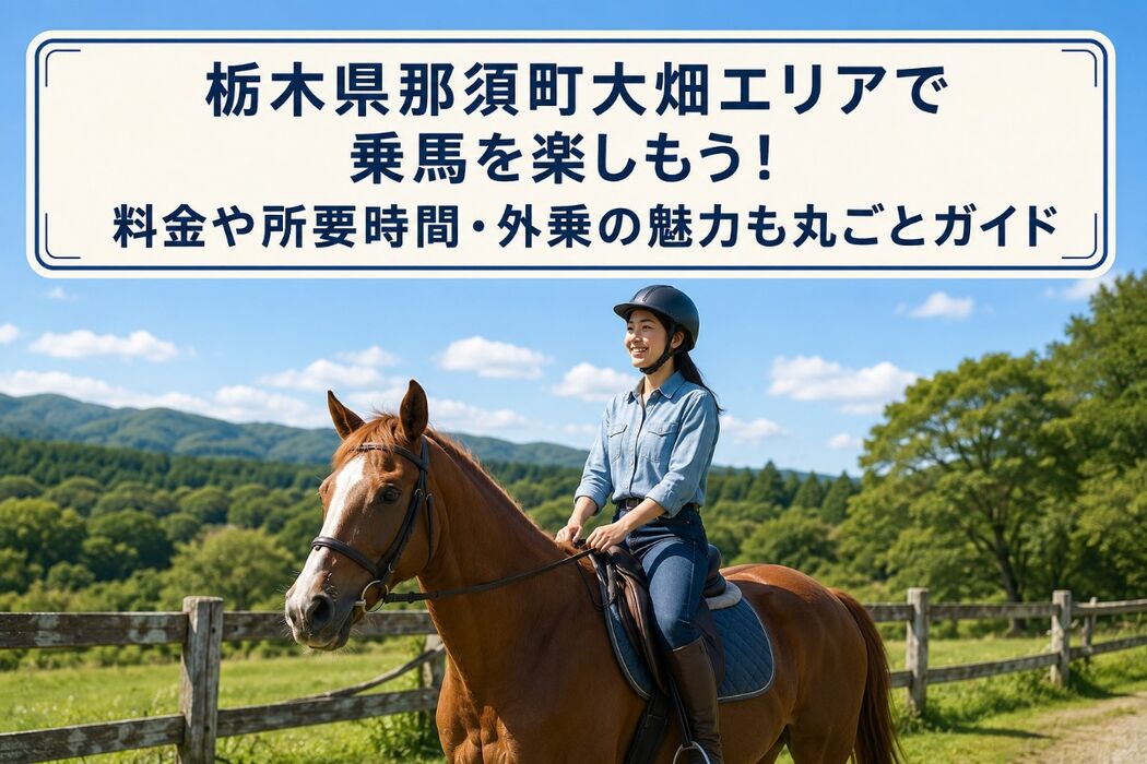 画像2500