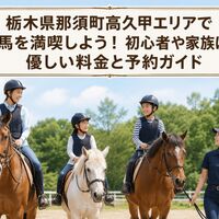 画像2540