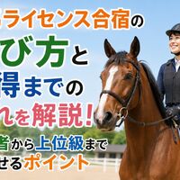 画像2624