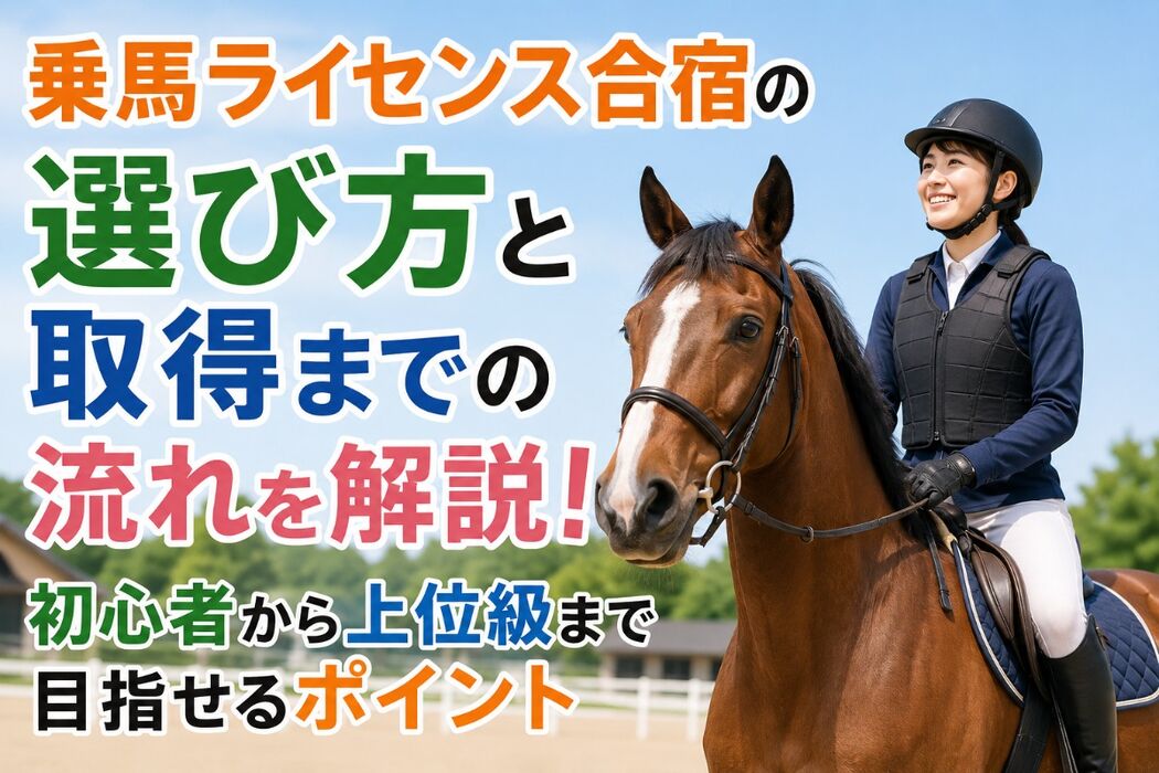 画像2624