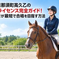 画像2646