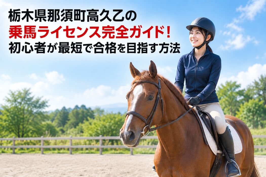 画像2646