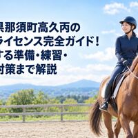 画像2666