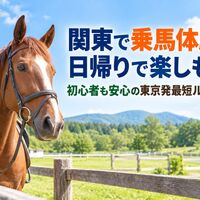 画像2698