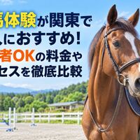 画像2710