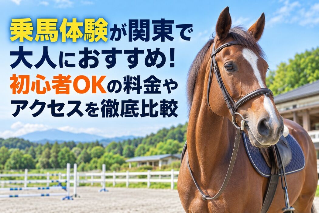 画像2710