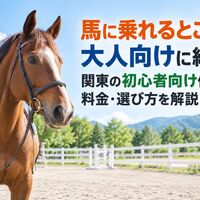 画像2732