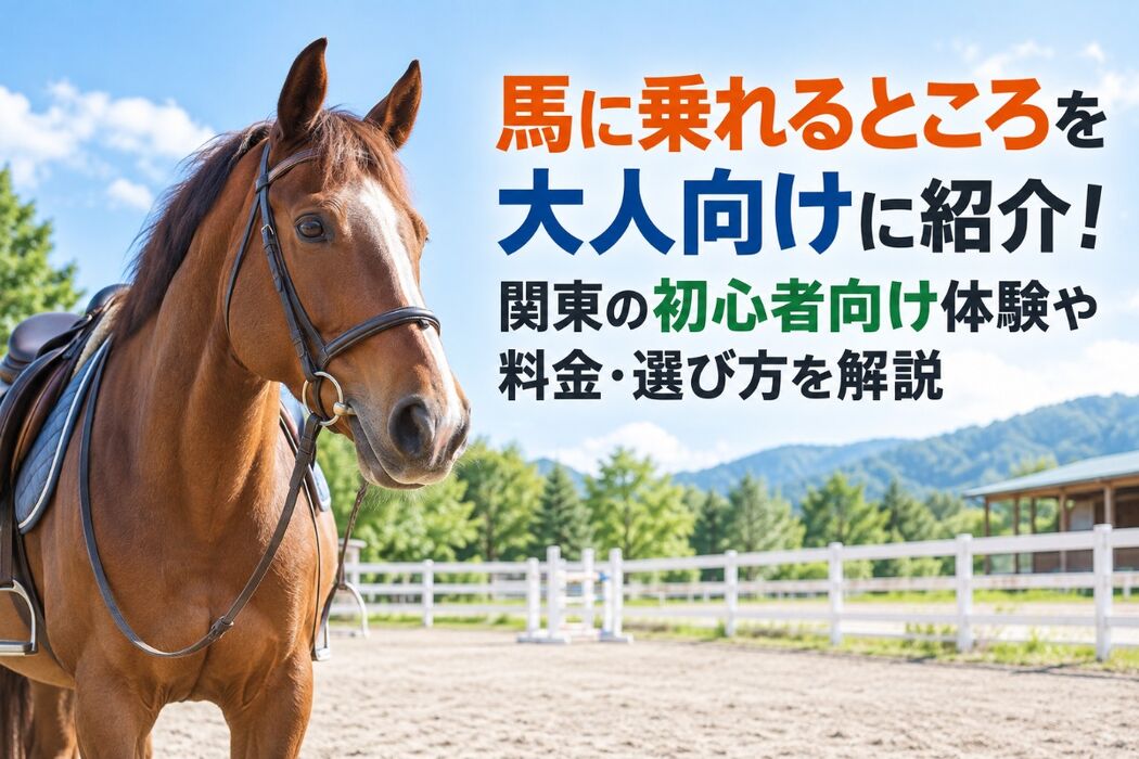 画像2732