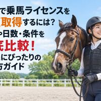 画像2754