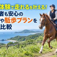 画像2766