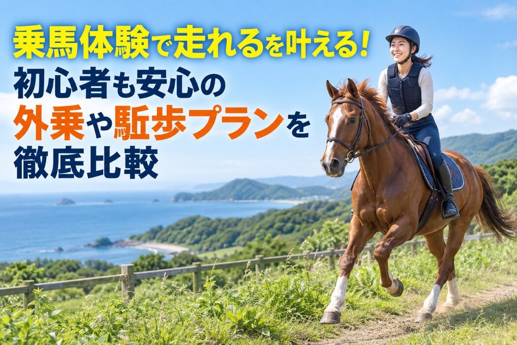画像2766