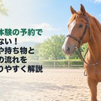 画像2788