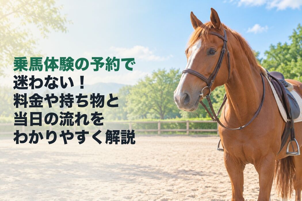 画像2788