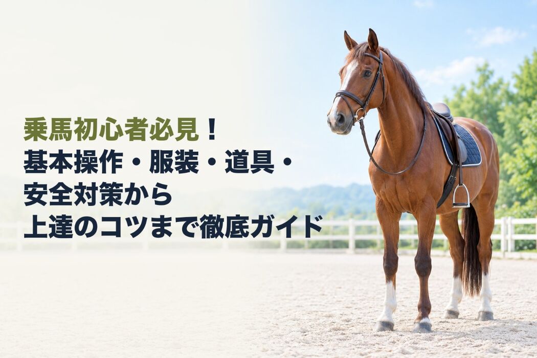画像2802