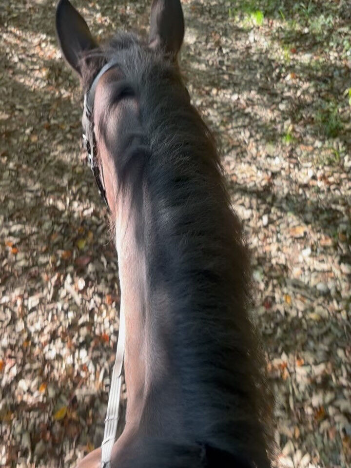 秋の風を感じる季節になりましたね🍂