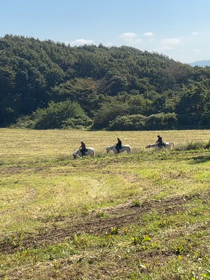 秋の風を感じる季節になりましたね🍂