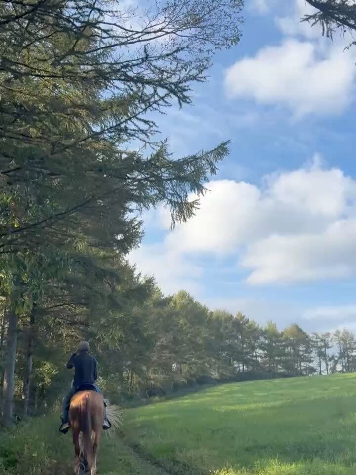 秋色に包まれた大自然で、乗馬はいかがですか？🍂