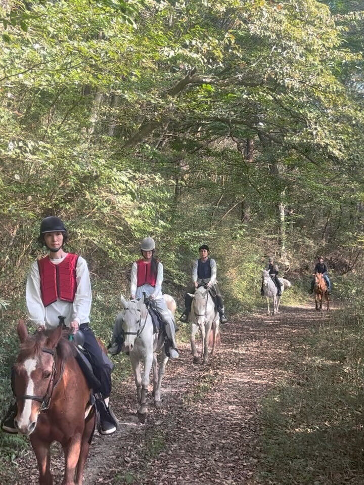 秋色に包まれた大自然で、乗馬はいかがですか？🍂