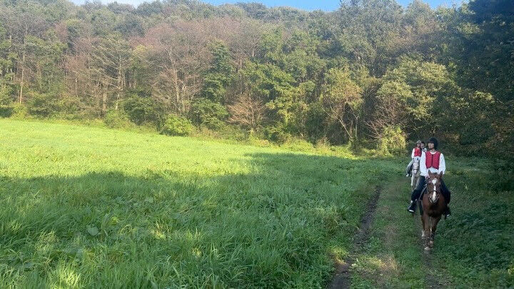 秋の気配を感じる季節に🍂